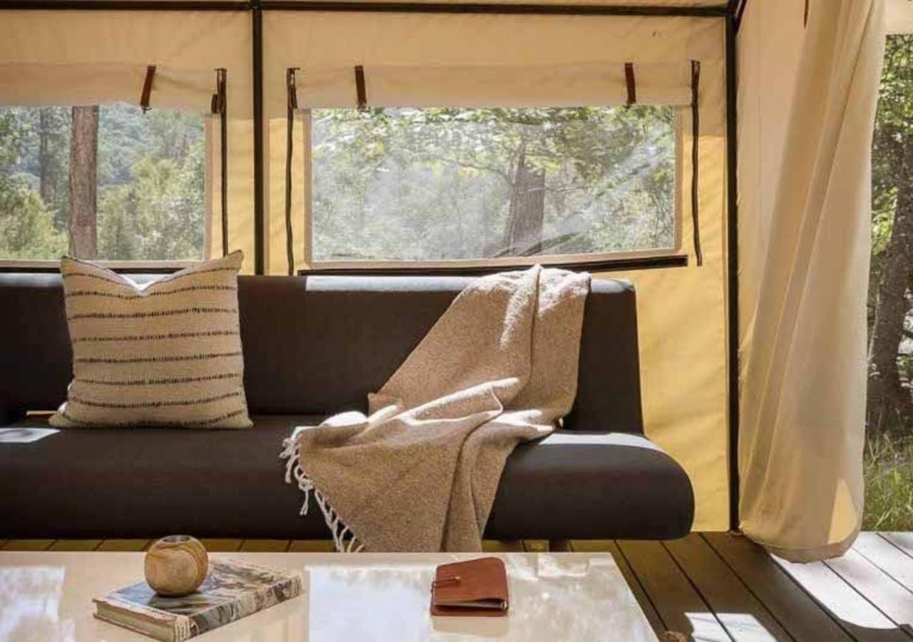 Autocamp Catskills Saugerties Luaran gambar